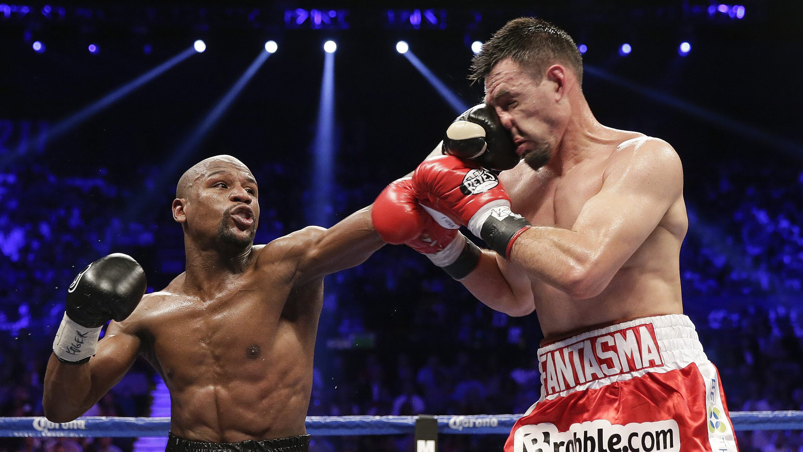 全国武术锦标赛高手云集,全国武术锦标赛比赛项目